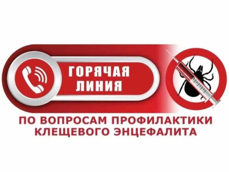 О работе «горячей линии» по профилактике клещевого энцефалита.